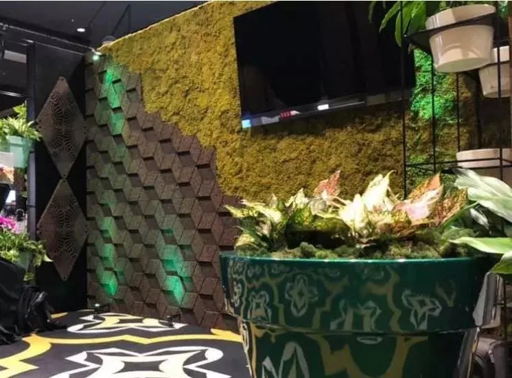 zielona ściana z korkiem ekspandowanym